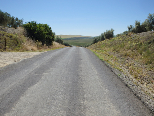 The road to Castro del Rio.